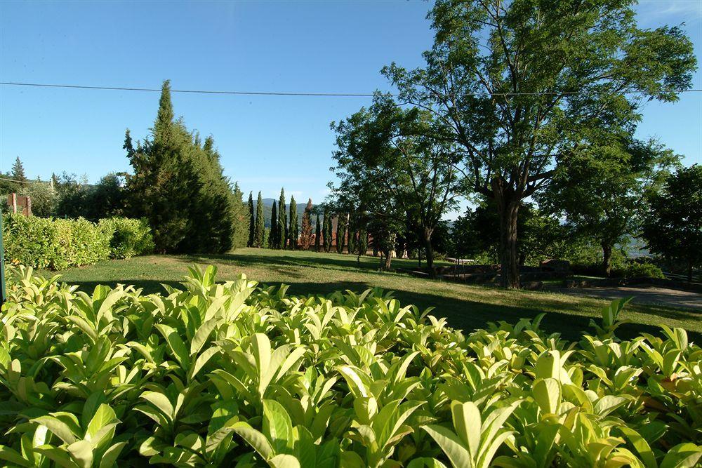 Agriturismo Colognole Pontassieve Exterior foto